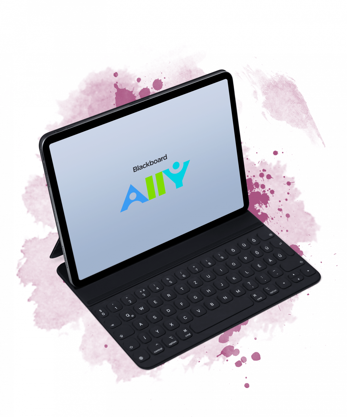Blackboard Ally Samoo E Learning